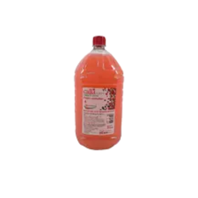 Sabonete Liquido Infinity 2lts Frutas Vermelhas