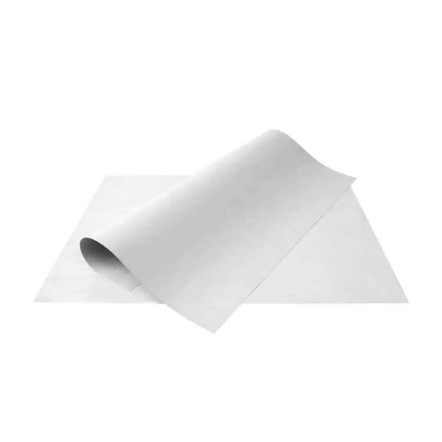 Cartolina Tamanho 66x50 Rolo Branco Com 01 Unidade Ridet - Rls020002