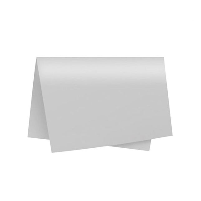 Papel Color Set Tamanho 48x66 Branco Com 20 Folhas 110g Ridet - 050000
